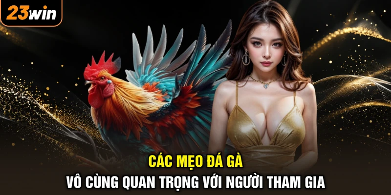 Các mẹo đá gà vô cùng quan trọng với người tham gia