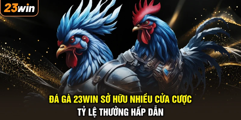 Đá Gà 23WIN - Sới Đấu Rực Lửa, Rinh Thưởng Một Không Hai 3 Đá gà 23WIN sở hữu nhiều cửa cược tỷ lệ thưởng hấp dẫn