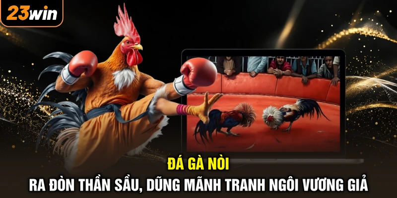 Đá Gà Nòi - Ra Đòn Thần Sầu, Dũng Mãnh Tranh Ngôi Vương Giả