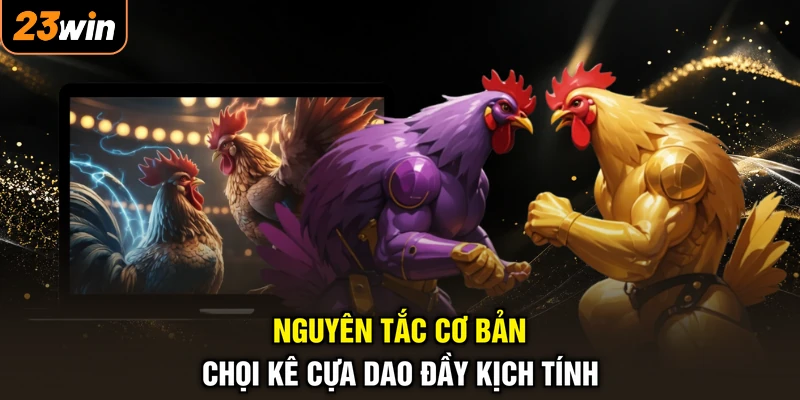 Đá Gà Cựa Dao - Sàn Đấu Rực Lửa, Đòn Hiểm Xuất Chiêu 4 Nguyên tắc cơ bản chọi kê cựa dao đầy kịch tính