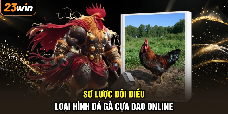 Đá Gà Cựa Dao - Sàn Đấu Rực Lửa, Đòn Hiểm Xuất Chiêu 2 Sơ lược đôi điều loại hình đá gà cựa dao online