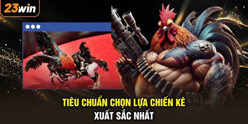 Tiêu chuẩn chọn lựa chiến kê xuất sắc nhất